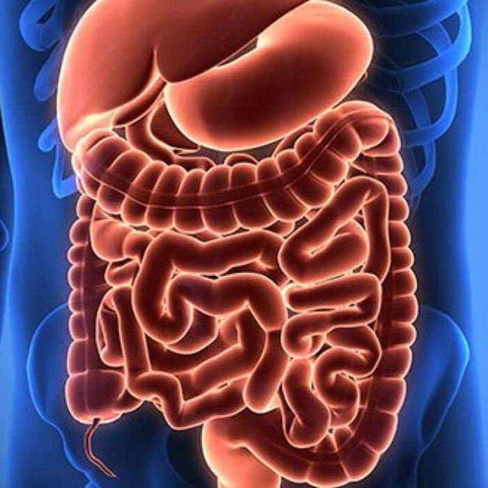 Servizio Ecografie Diagnostiche